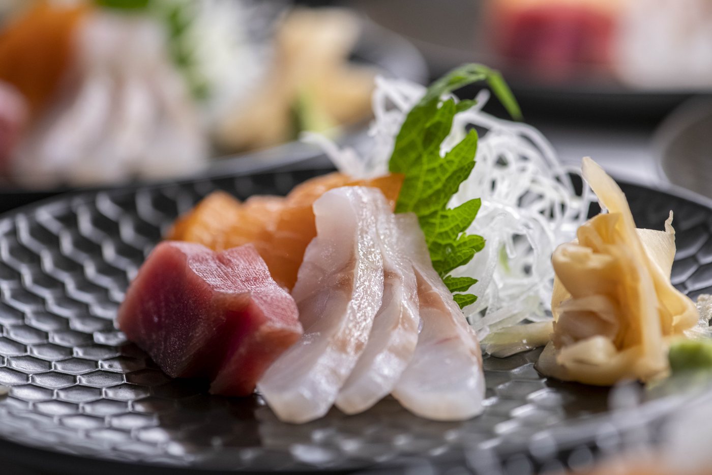 Piatto della cucina YUKI